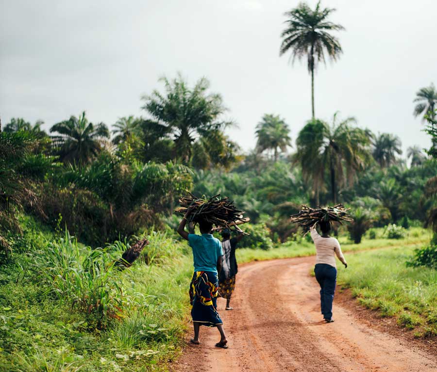Photo en Afrique, des personnes portent du bois sur leur tête